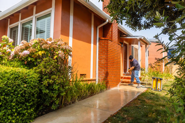 Deck Cleaning Services in Lake Tapps, WA